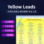 Yellow Leads Extractor原图