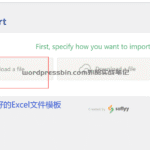 WP All Import外贸网站产品博客批量导入注意事项，成功经验绝无仅有