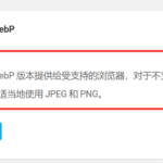 WebP比图片更快，更节省服务器空间，但是有时候有的图片看的时候会很慢加载，如果开启了延迟加载，挺卡的