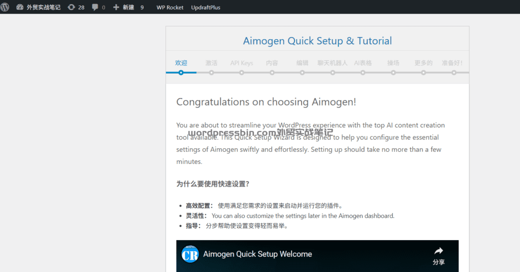 WordPress汉化主题和插件安装教程，外贸网站建设教程
